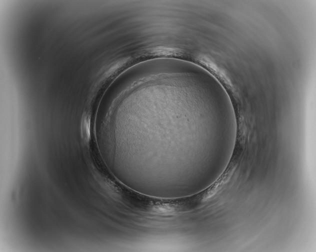 X0000093610062200710151247