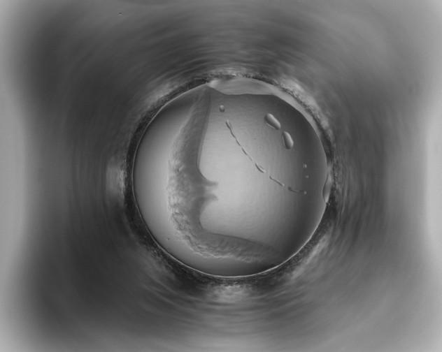 X0000093610063200710151247