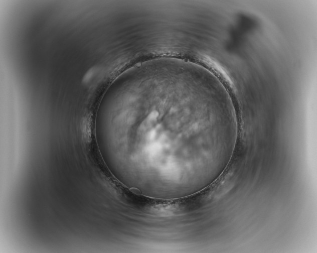 X0000093610065200710151247