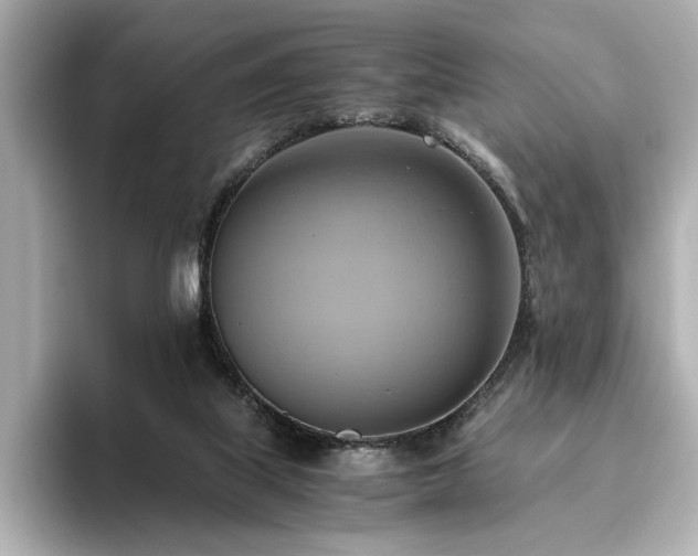 X0000093610067200710151247