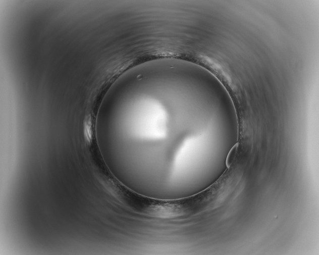 X0000093610069200710151247