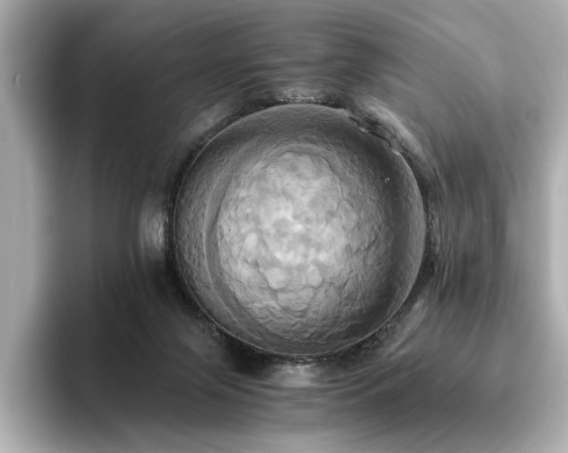 X0000093610071200710151247