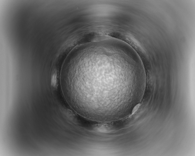 X0000093610074200710151247