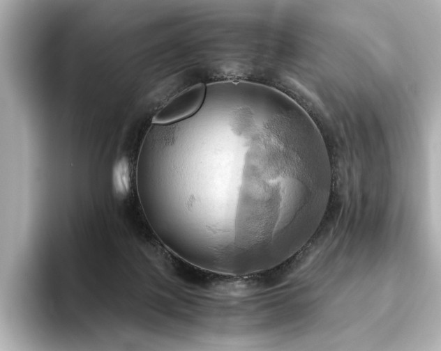 X0000093610075200710151247