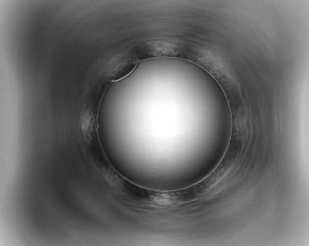 X0000093610079200710151247
