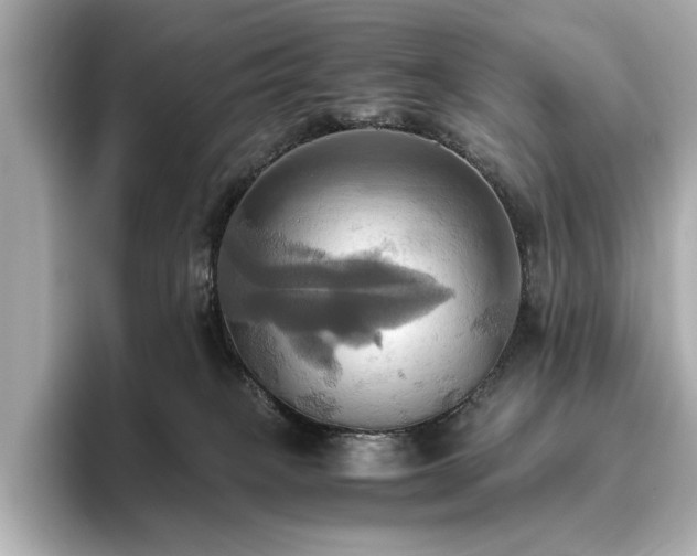 X0000093610085200710151247