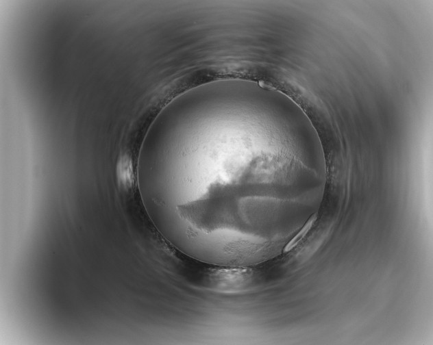 X0000093610089200710151247