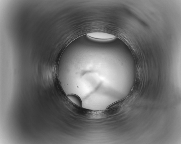 X0000093610093200710151247