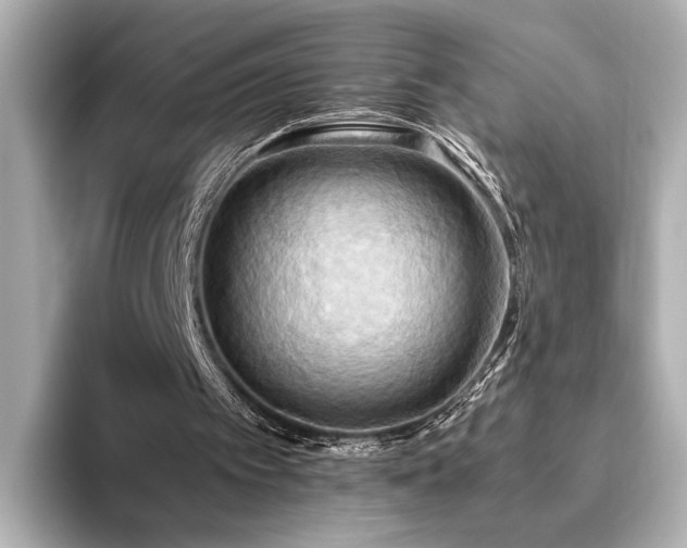 X0000093610097200710151246
