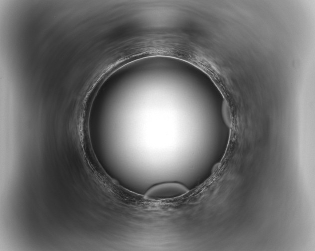 X0000093610098200710151246