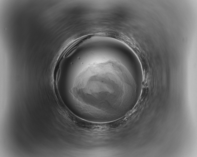 X0000093610099200710151246