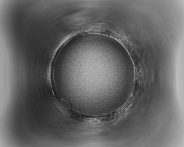 X0000093610100200710151246