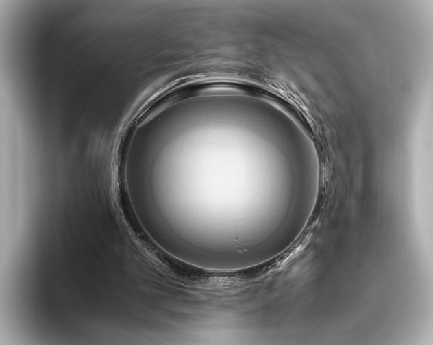 X0000093610101200710151246