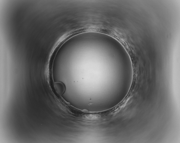 X0000093610102200710151246
