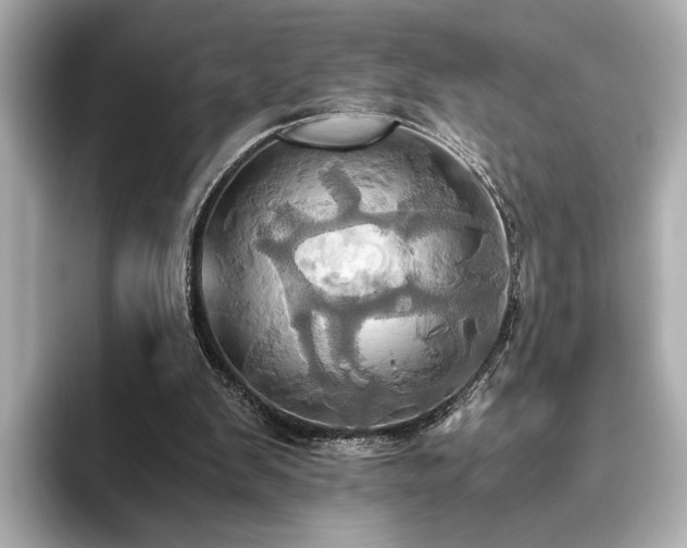 X0000093610103200710151246