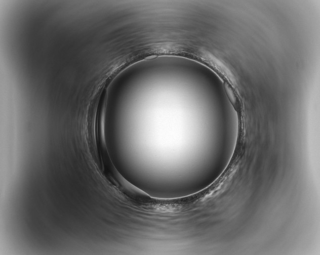 X0000093610105200710151246