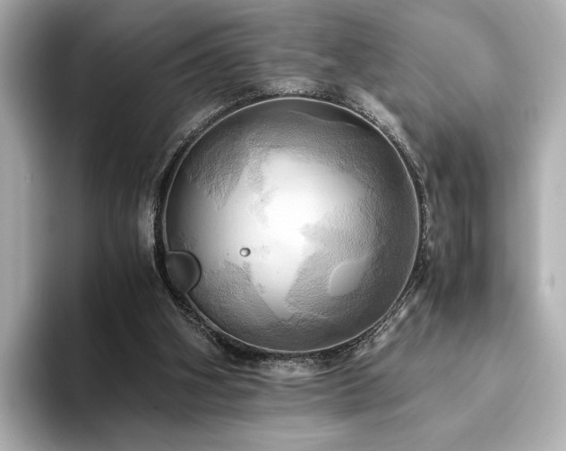 X0000093610106200710151246