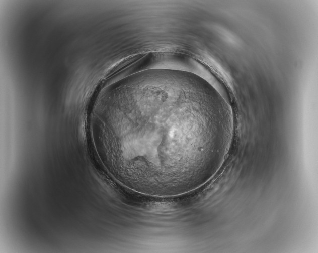 X0000093610107200710151246
