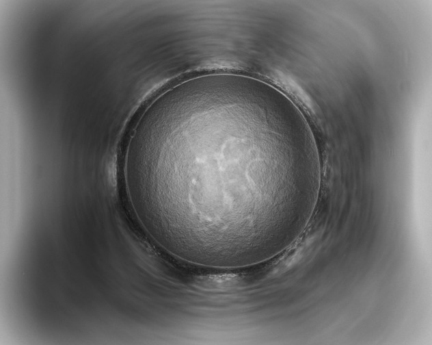 X0000093610108200710151246