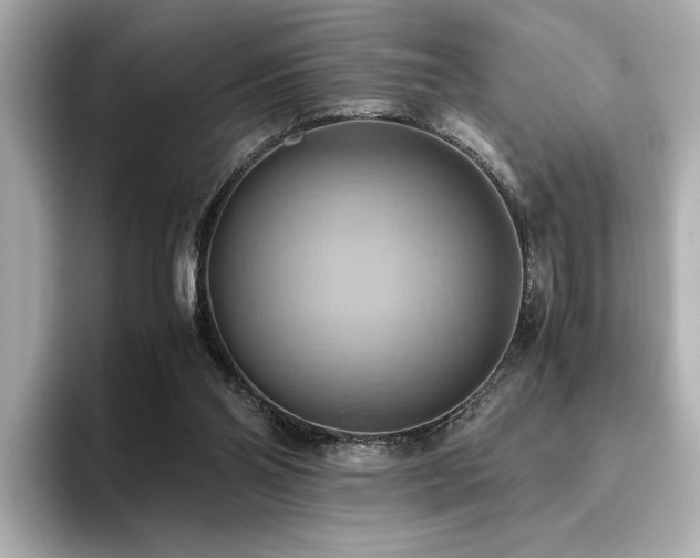 X0000093610110200710151246