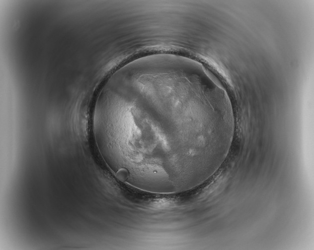 X0000093610111200710151246