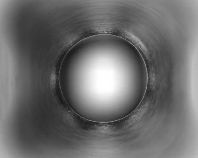 X0000093610113200710151246