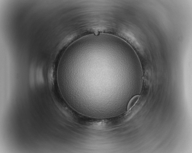 X0000093610116200710151246