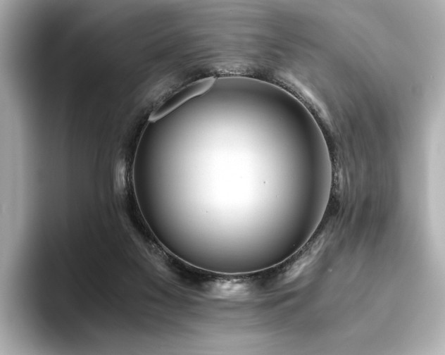 X0000093610117200710151246