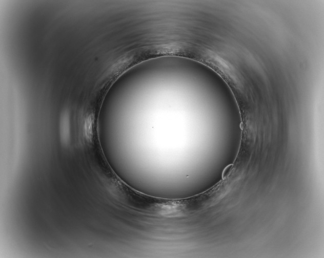 X0000093610118200710151246