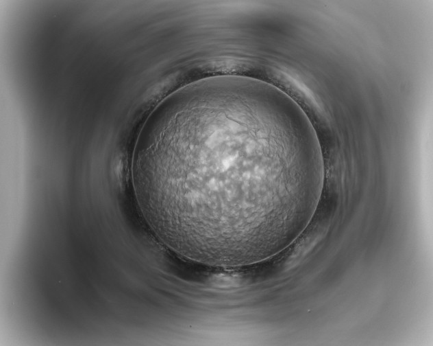 X0000093610119200710151246