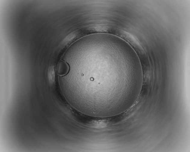 X0000093610120200710151246