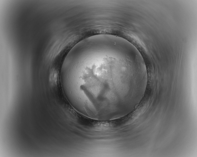 X0000093610123200710151246