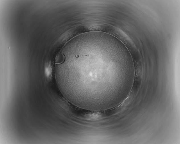 X0000093610124200710151246