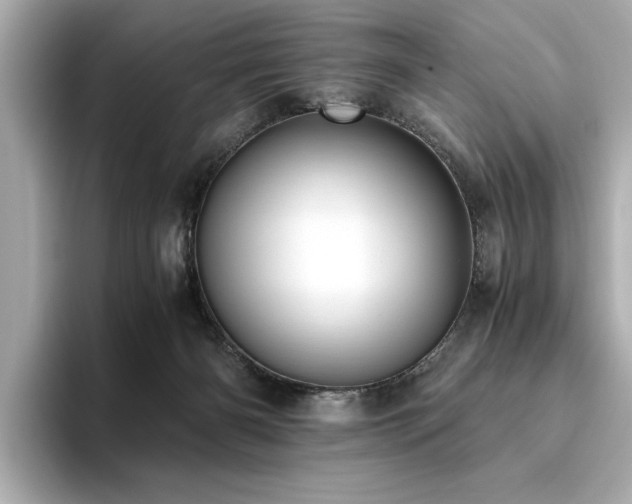 X0000093610126200710151246