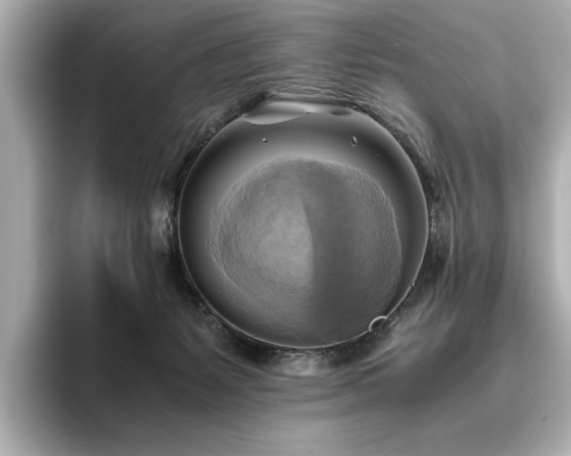 X0000093610127200710151246