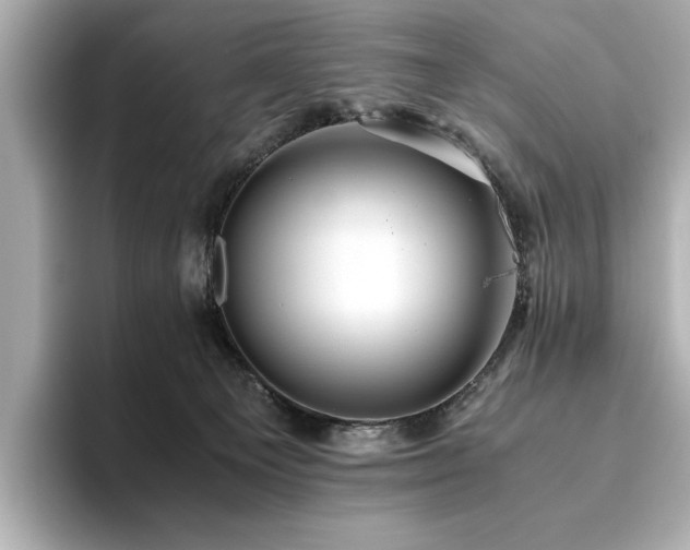X0000093610129200710151246