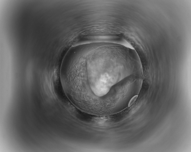 X0000093610131200710151246