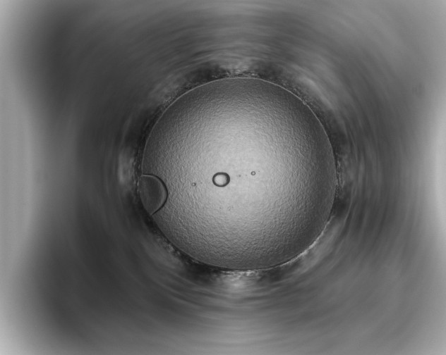 X0000093610136200710151246