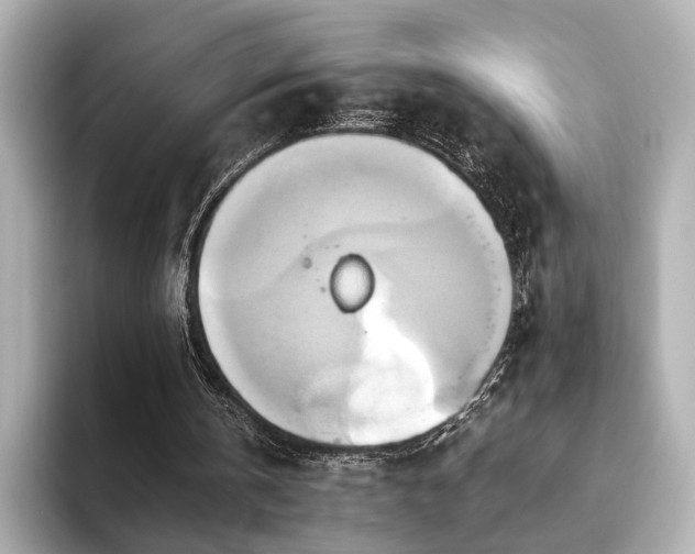 X0000093610146200710151245