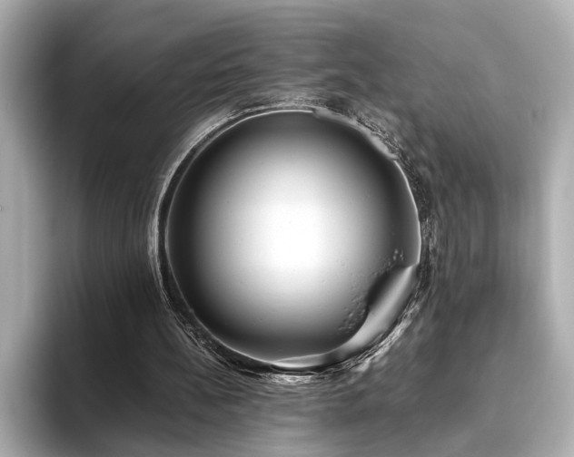 X0000093610148200710151245