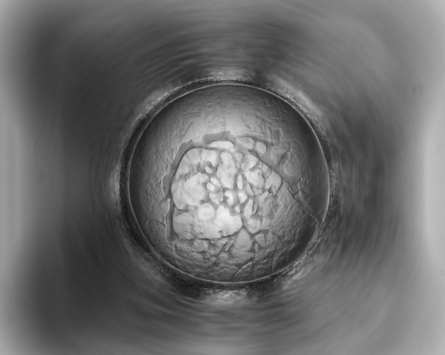 X0000093610155200710151245