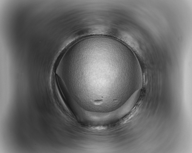 X0000093610156200710151245