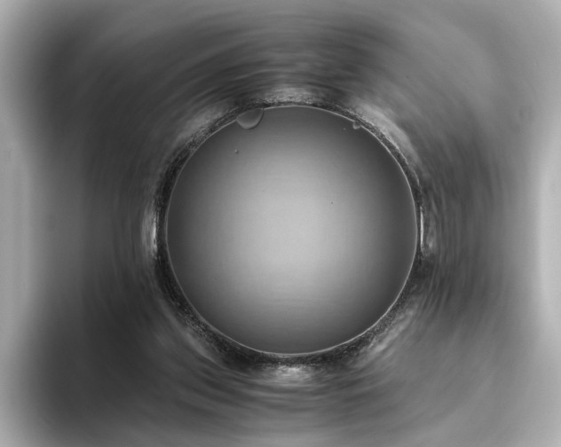 X0000093610157200710151245