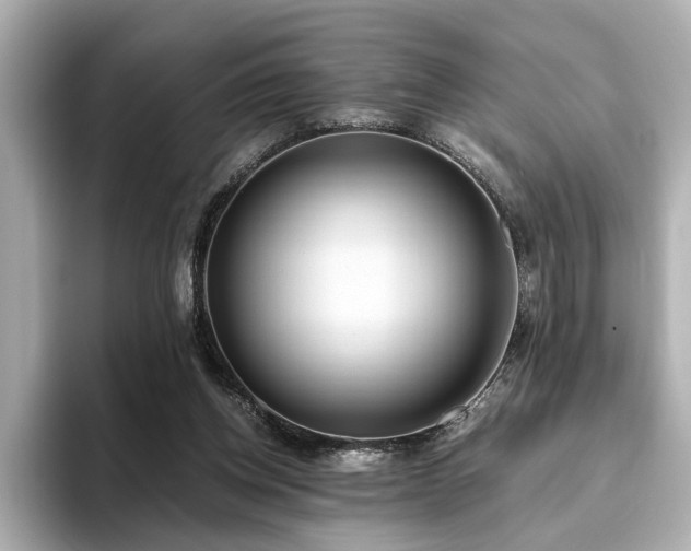 X0000093610158200710151245