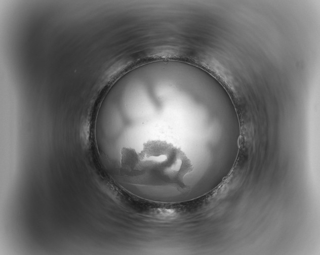 X0000093610159200710151245