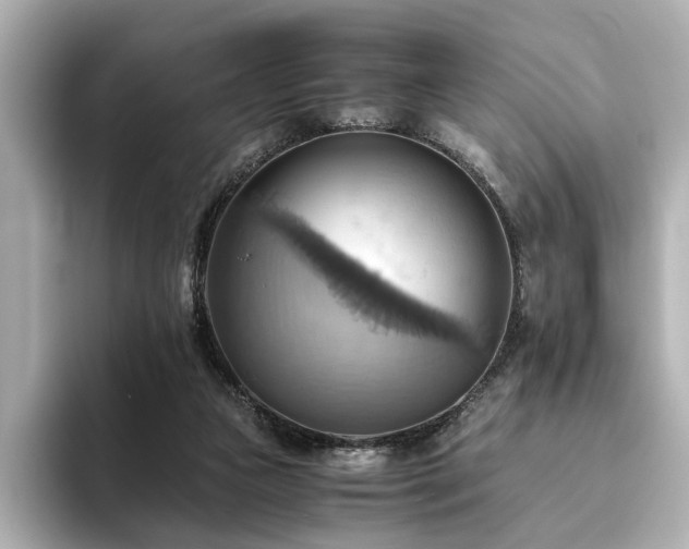X0000093610161200710151245