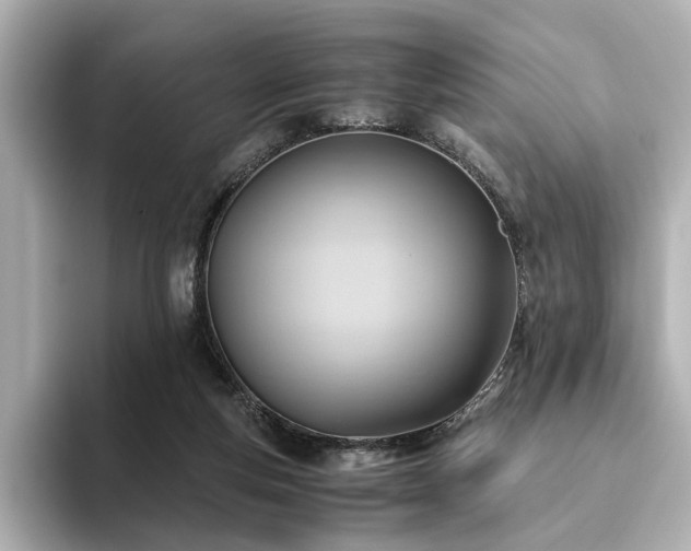X0000093610163200710151245
