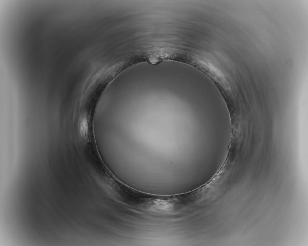 X0000093610166200710151245