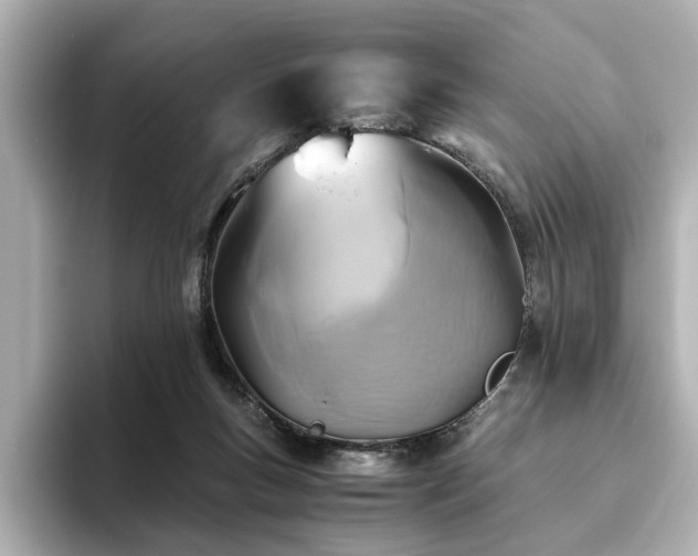 X0000093610167200710151245
