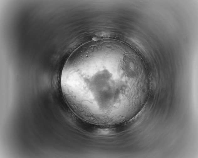 X0000093610171200710151246